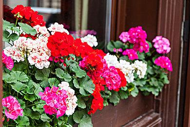 Xbox菲尔·斯宾塞称元宇宙是一个糟糕的电子游戏